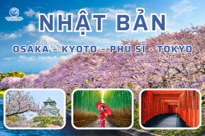 Hà Nội – Osaka -Kyoto- Phú Sĩ – Tokyo 6 Ngày 5 Đêm