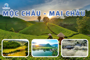 Hà Nội – Mộc Châu – Mai Châu 2 Ngày 1 Đêm