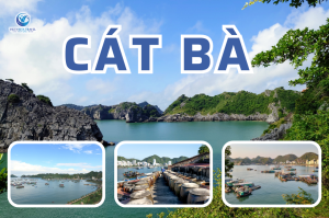 Du Lịch Cát Bà 3 Ngày 2 Đêm