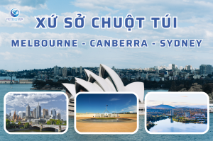Khám Phá Xứ Sở Chuột Túi Melbourne – Canberra – Sydney 7 Ngày 6 Đêm