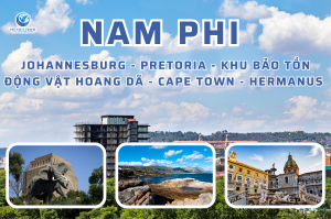 Hà Nội – Johannesburg – Thủ Đô Pretoria – Khu Bảo Tồn Động Vật Hoang Dã – Cape Town – Thị Trấn Hermanus – Trang Trại Rượu Vang 8 Ngày 7 Đêm