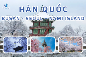 Hà Nội – Busan – Seoul – Nami Island 6 Ngày 5 Đêm