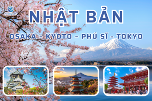 Hà Nội – Osaka -Kyoto- Phú Sĩ – Tokyo 6 Ngày 5 Đêm