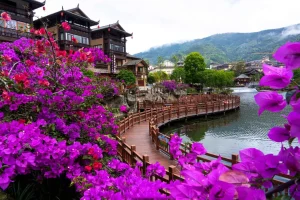 Lào Cai - Hà Khẩu - Bình Biên - Kiến Thuỷ - Mông Tự 3 Ngày 2 Đêm