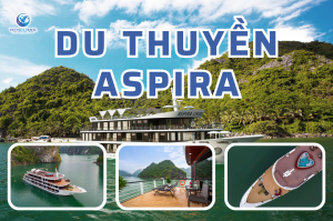 Du Thuyền Aspira Ngủ Đêm Trên Vịnh 2 Ngày 1 Đêm