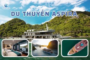 Du Thuyền Aspira Ngủ Đêm Trên Vịnh 3 Ngày 2 Đêm