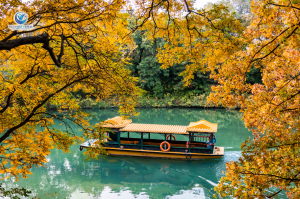 Tour Mùa Thu Trung Quốc Giá Rẻ 2025 Sự Lựa Chọn Hấp Dẫn Cho Khách Việt