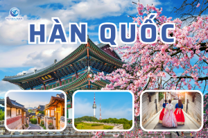 Khám Phá Hàn Quốc Rực Rỡ Sắc Màu 5 Ngày 4 Đêm