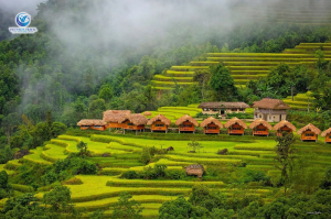 Hà Giang 2026 Hành Trình Chạm Vào Vẻ Đẹp Nguyên Sơ Của Cao Nguyên Đá Địa Đầu Tổ quốc