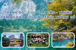 Thành Đô – Cửu Trại Câu – Trung Tâm Nghiên Cứu Gấu Trúc Thành Đô 5 Ngày 4 Đêm